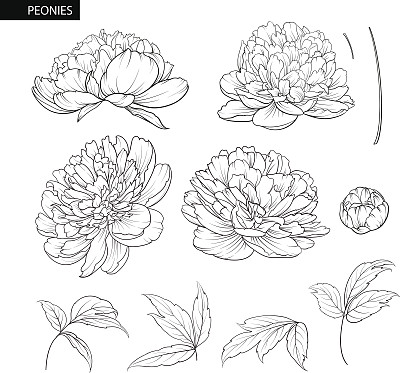 花矢量图素材ID：168095866