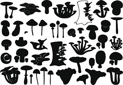 蘑菇图片下载