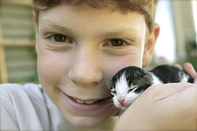 孩子和小猫图片下载