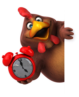 有趣的鸡图片下载