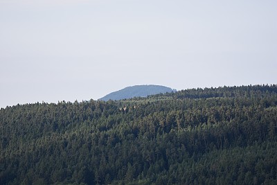 贝瓦尔德特·赫格尔图片下载