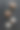 整个和破碎的椰子在黑暗的垃圾背景图片下载