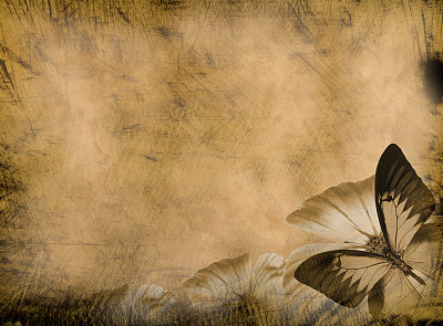 蝴蝶的背景图片下载