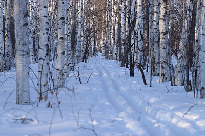 美丽的夏日景色图片下载