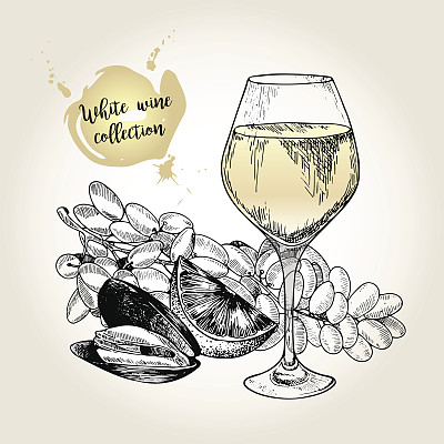 向量集白葡萄酒收集。刻复古风格。玻璃、贻贝、酸橙和葡萄干。图片下载