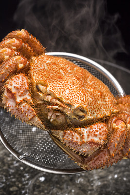 马鬃蟹图片下载