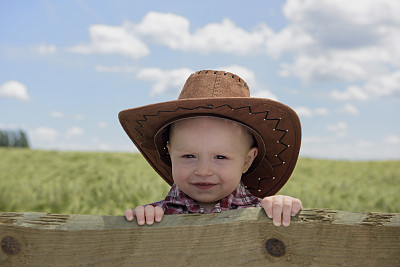 小牛仔在篱笆外张望图片下载