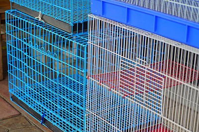 动物的笼子图片下载