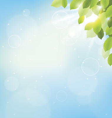 阳光照在天空中的树叶。花自然春天图片下载