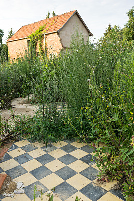 废弃的建筑图片下载