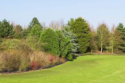 美丽的春天公园图片下载