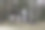 在树林里寻找小木屋图片下载