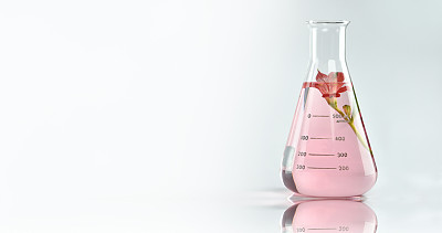 天然药物研究，科学实验室的植物草药发现。素材图片