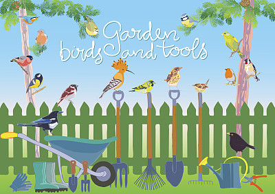 花园鸟类和工具集图片下载