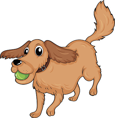 狗在玩球图片下载