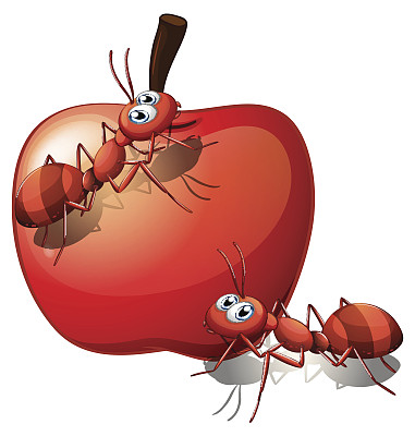 两只蚂蚁和红苹果图片下载