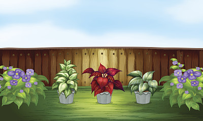 灰色的花盆里有三种不同的植物图片下载