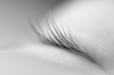 睡美人图片下载