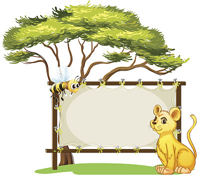 年轻的老虎和蜜蜂旁边一片空地图片下载