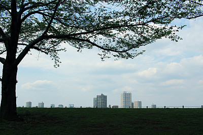 河的另一边图片下载