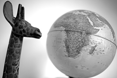 长颈鹿和截止图片下载