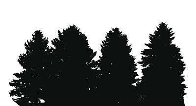 树剪影孤立在白色的背景。Vecrtor Illustrati图片下载