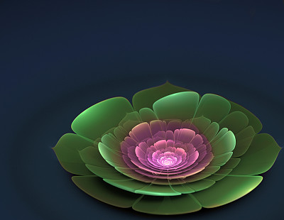 lotus三维分形图片下载