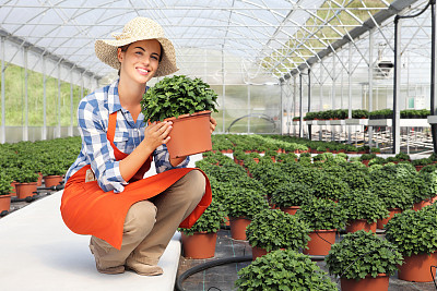 在温室里微笑的女人，手里拿着一盆植物图片下载