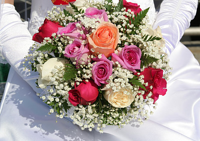 束鲜花图片下载