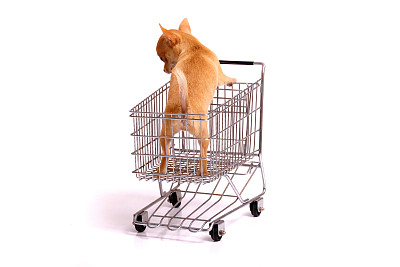 小狗在购物车里图片下载