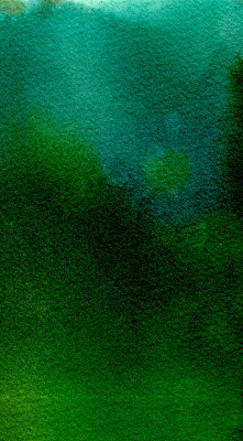 绿色背景的阴影图片下载
