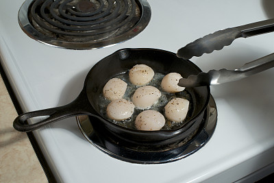 扇贝在翻图片下载