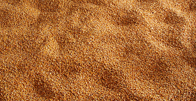 大部分玉米原料图片下载