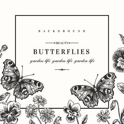 架子上有夏花和蝴蝶。图片下载