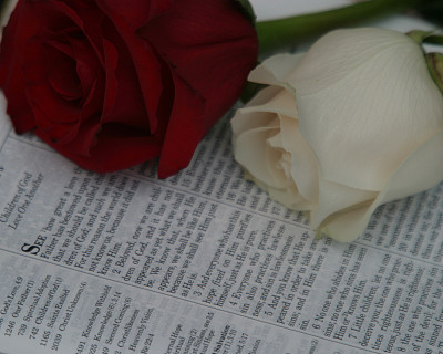 上帝的爱图片下载