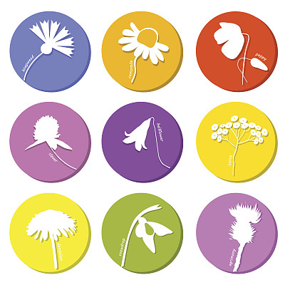 野花图标集图片下载