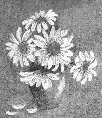 雏菊插花静物图片下载