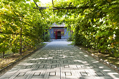 夏天的风景图片下载