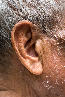 耳朵老年图片下载