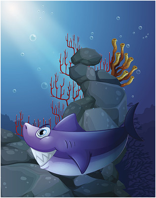 鲨鱼在海底的岩石附近图片下载