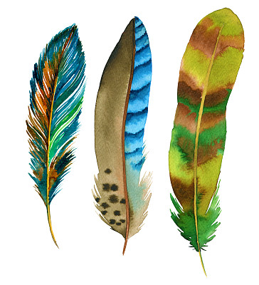 水彩的羽毛图片下载