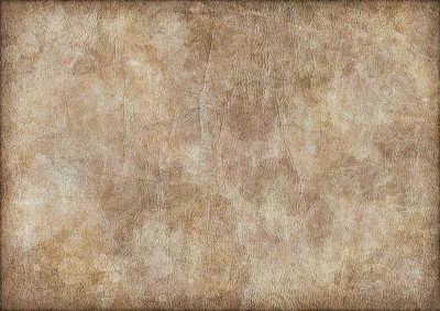 高分辨率古代动物皮肤羊皮纸皱褶Vignette Grunge纹理图片下载