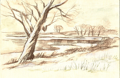 秋天的风景用树木素描图片下载