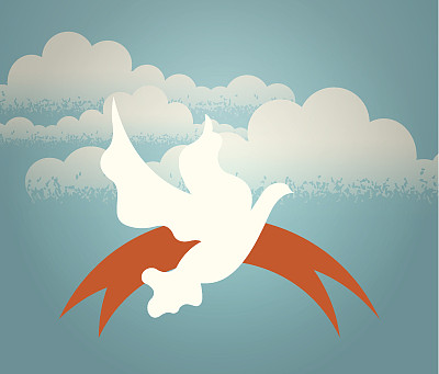 鸽子在空中盘旋图片下载