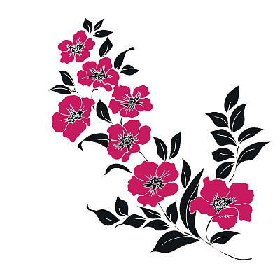 嫩枝樱花图片下载