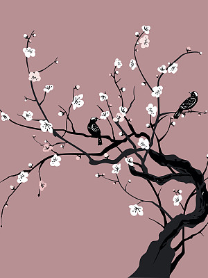 樱花和鸟类素材图片