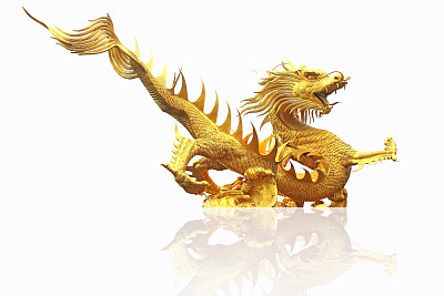金龙与影图片下载