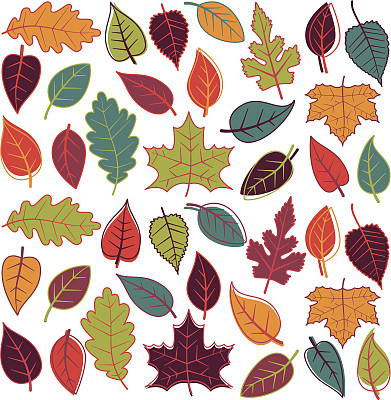 抽象秋叶的大向量集图片下载