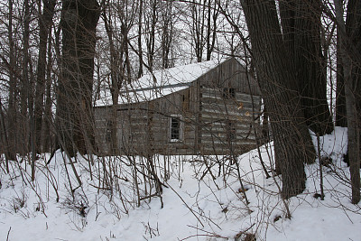 雪林中的小木屋图片下载