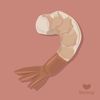 虾向量图片下载